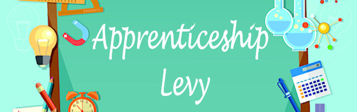 Apprenticeship Levy Quick Guide for Schools